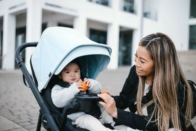 Thule Shine Sportsvogn, Mallard Green/Aluminum - Bilde 14